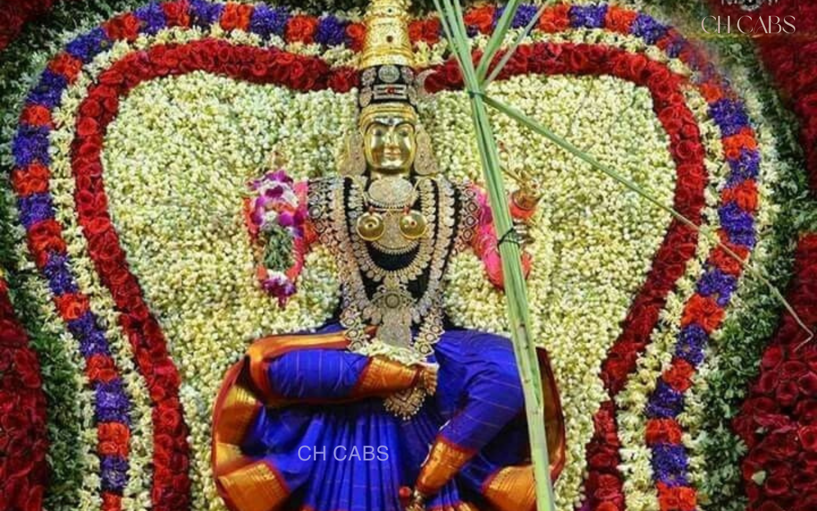 Sri Bhramaramba Devi sanctum at Srisailam